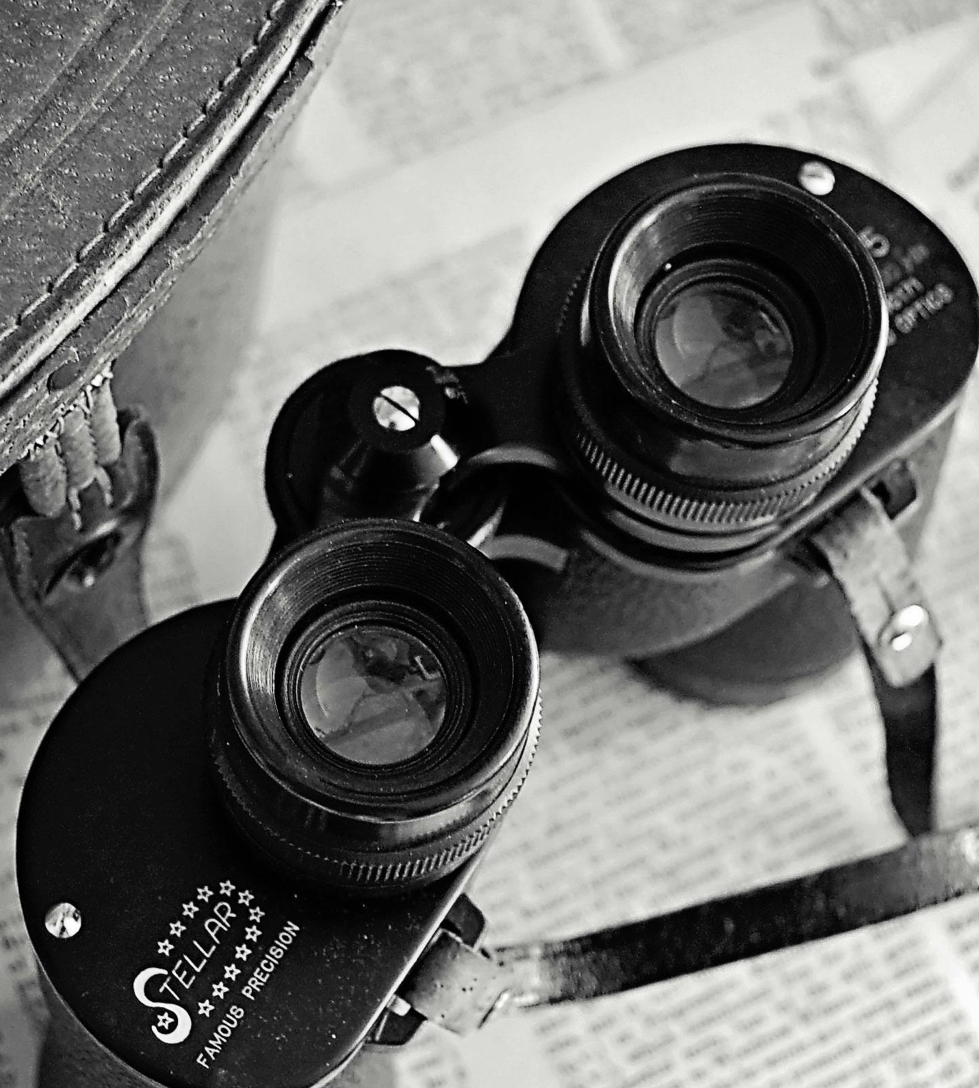 pexels-fariphotography-803939 pexels-fariphotography-803939